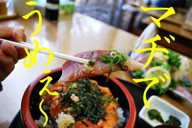 鳥取県のおはよう堂の新鮮な刺身