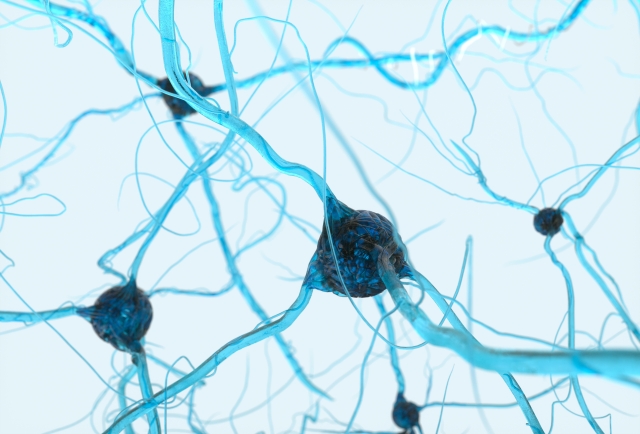 脳のシナプス