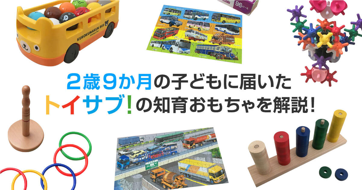 2歳9か月の子どもに届いた「トイサブ！」の知育おもちゃを解説！